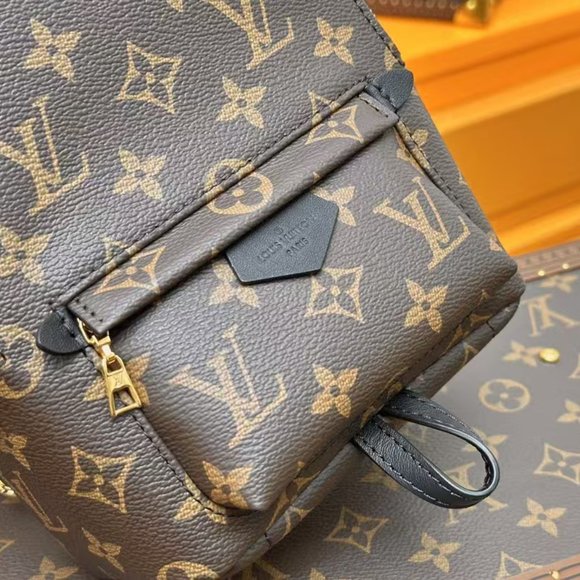LV Brand new Louis Vuitton brown backpack casual bag travel bag main image 7